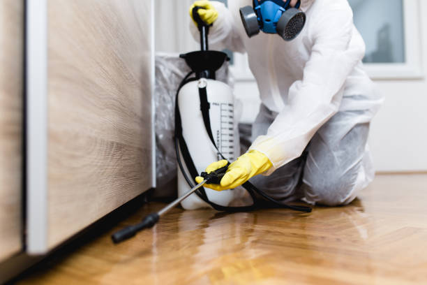 Best Pest Removal Services  in Leland Grove, IL