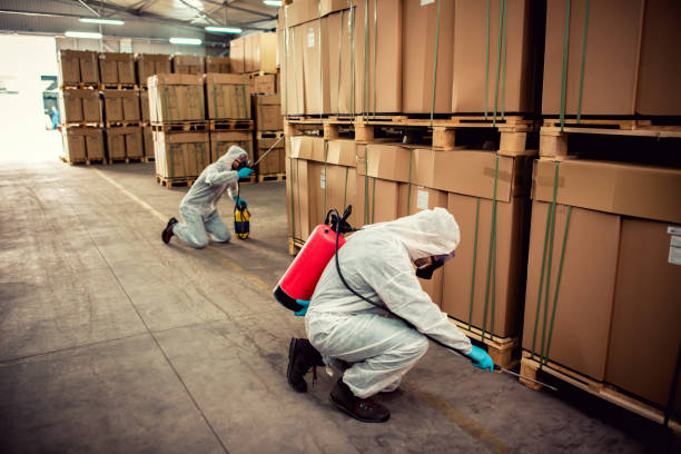 Best Pest Control Near Me in Leland Grove, IL