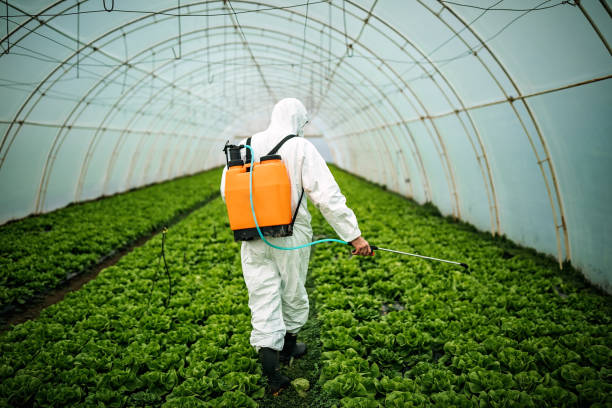 Best Pest Prevention Services  in Leland Grove, IL