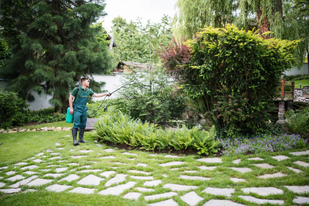 Pest Control for Restaurants in Leland Grove, IL