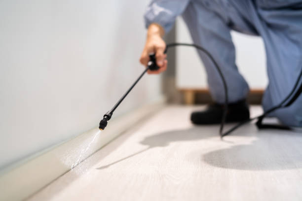 Best Wasp Removal Services  in Leland Grove, IL