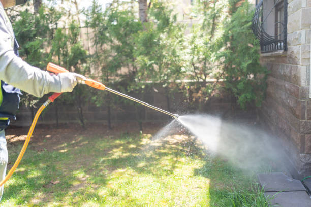 Best Best Pest Control Companies  in Leland Grove, IL