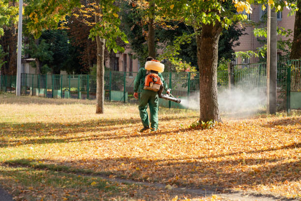 Best Best Pest Control Near Me  in Leland Grove, IL