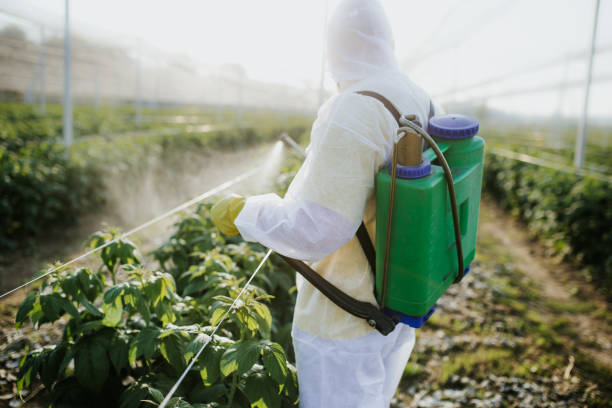 Best Ant Control Services  in Leland Grove, IL
